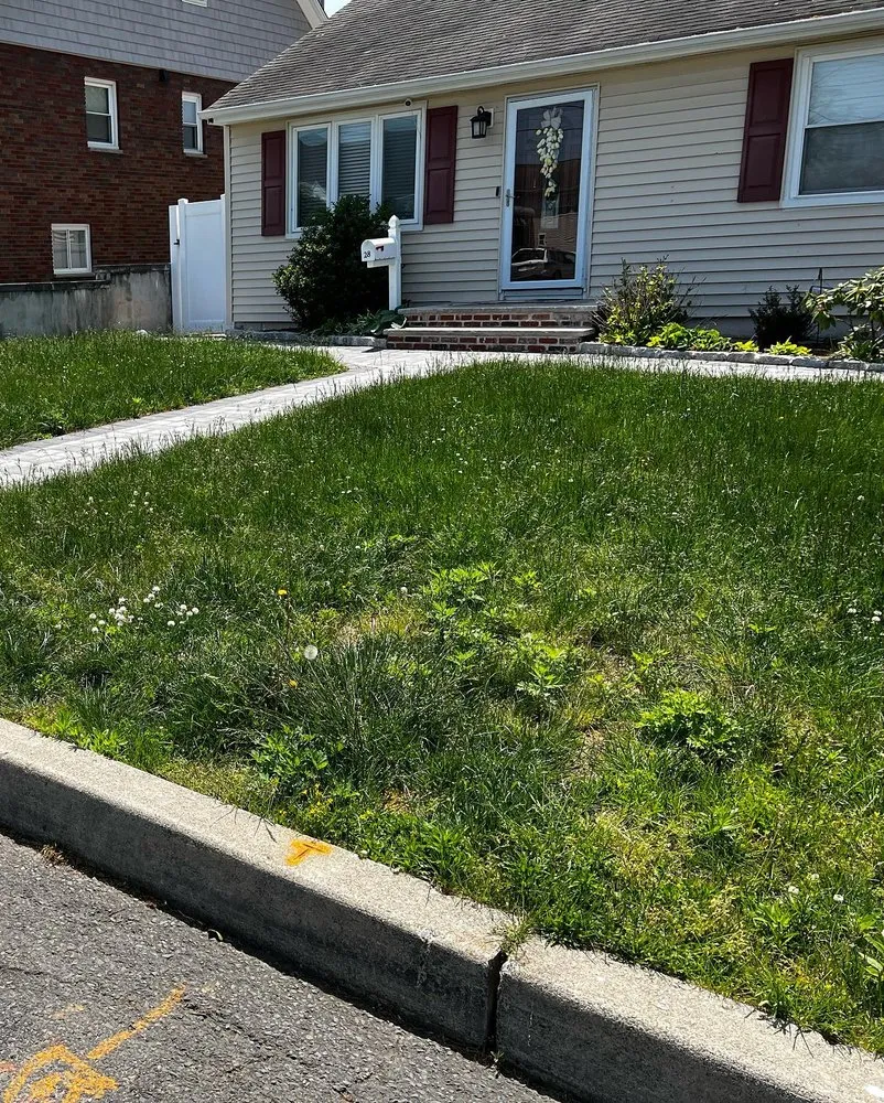 Custom yard cleanup service in Bogota, NJ - MultiPurpose Cleaners