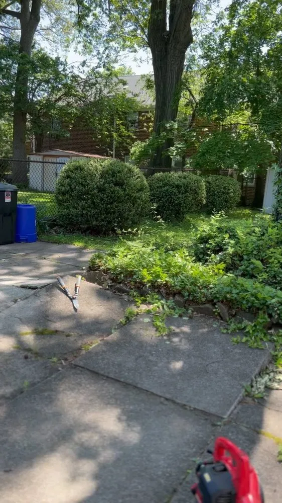 Custom outdoor landscaping experts serving Bogota, NJ - MultiPurpose Cleaners