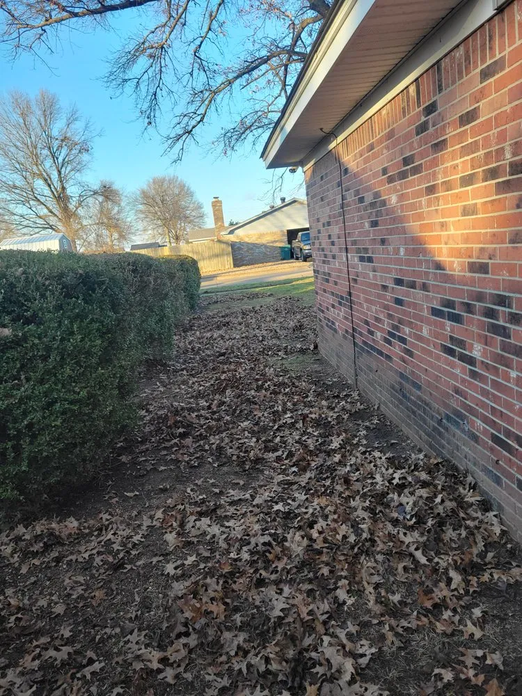 Expert yard cleanup service in Blytheville, AR by Multipurpose Solutions