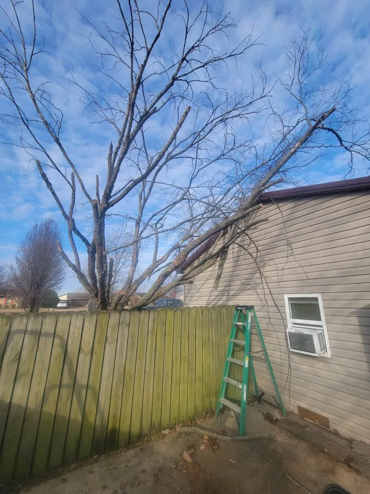 Top-rated outdoor landscaping experts serving Blytheville, AR - Multipurpose Solutions