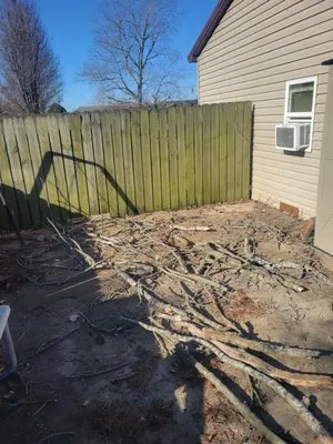 Multipurpose Solutions