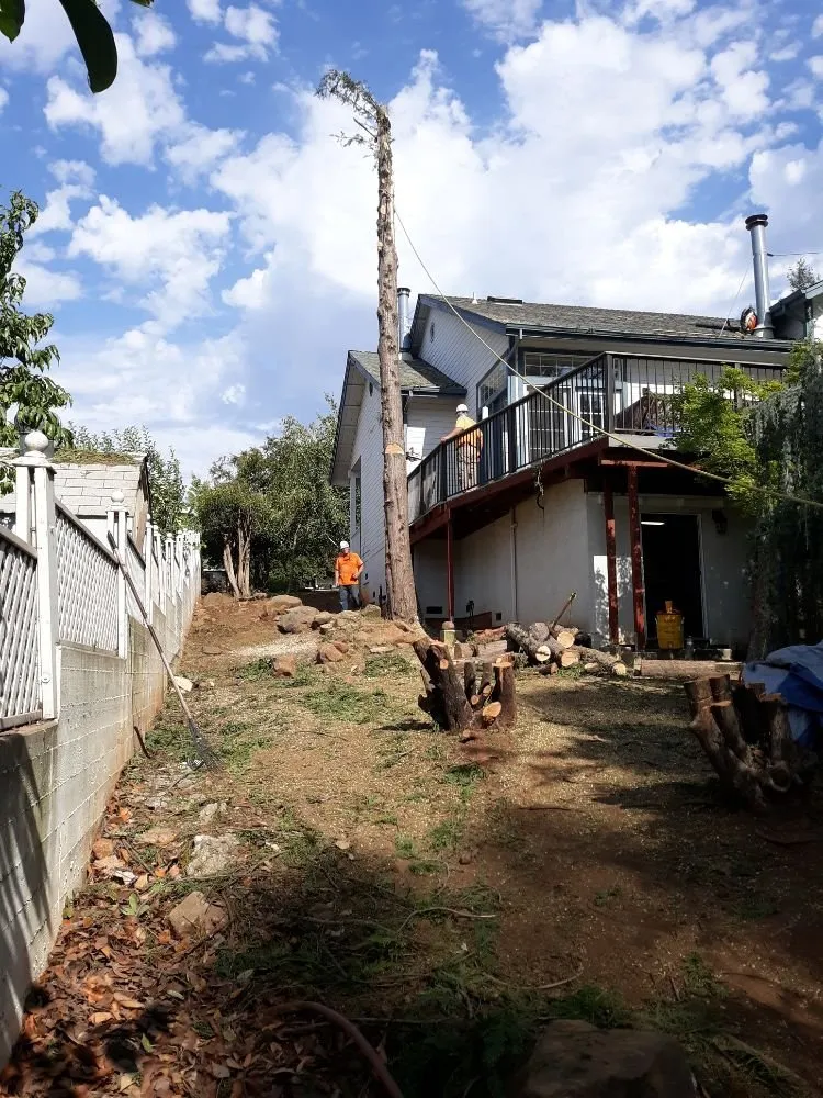 Local lawn mowing service with custom design across Oroville, CA - MultiServe Exterior Cleaning Services