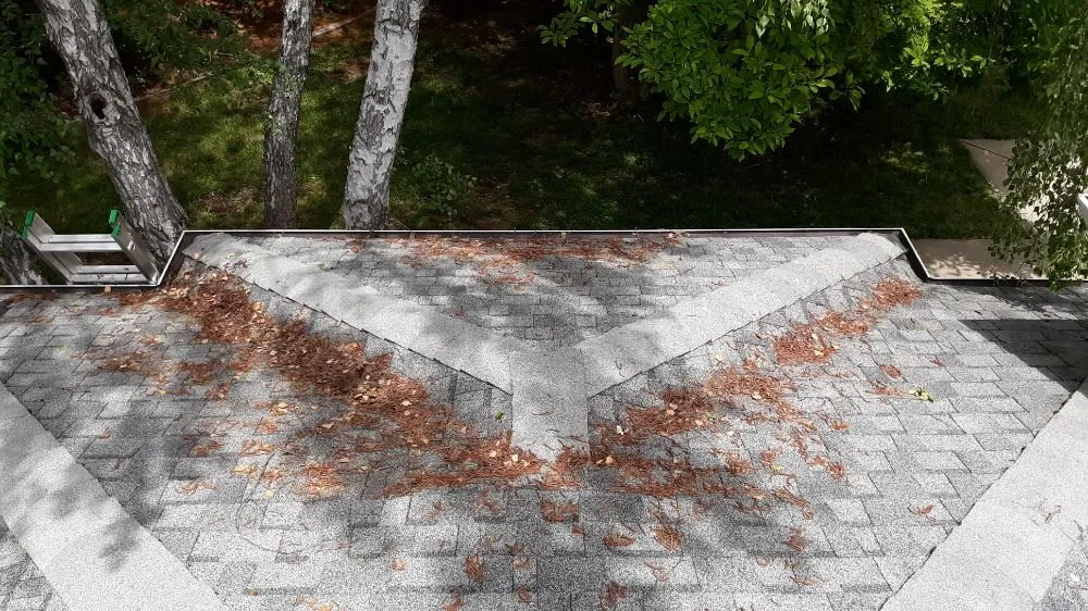 Professional yard maintenance in Oroville, CA - MultiServe Exterior Cleaning Services