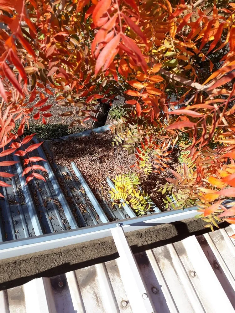 Expert garden landscaping in Oroville, CA by MultiServe Exterior Cleaning Services