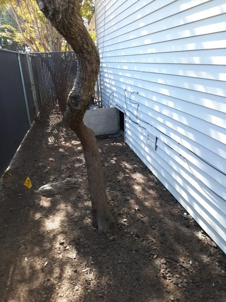 Affordable lawn mowing service experts serving Oroville, CA - MultiServe Exterior Cleaning Services