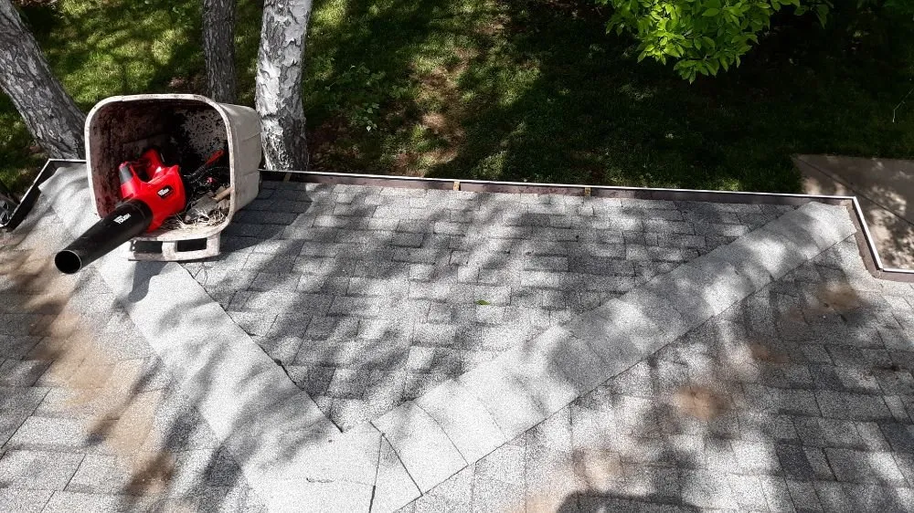 Affordable yard cleanup service experts serving Oroville, CA - MultiServe Exterior Cleaning Services