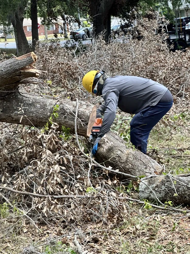 Top-rated landscaping services in Groveland, FL by Multiservices J&H