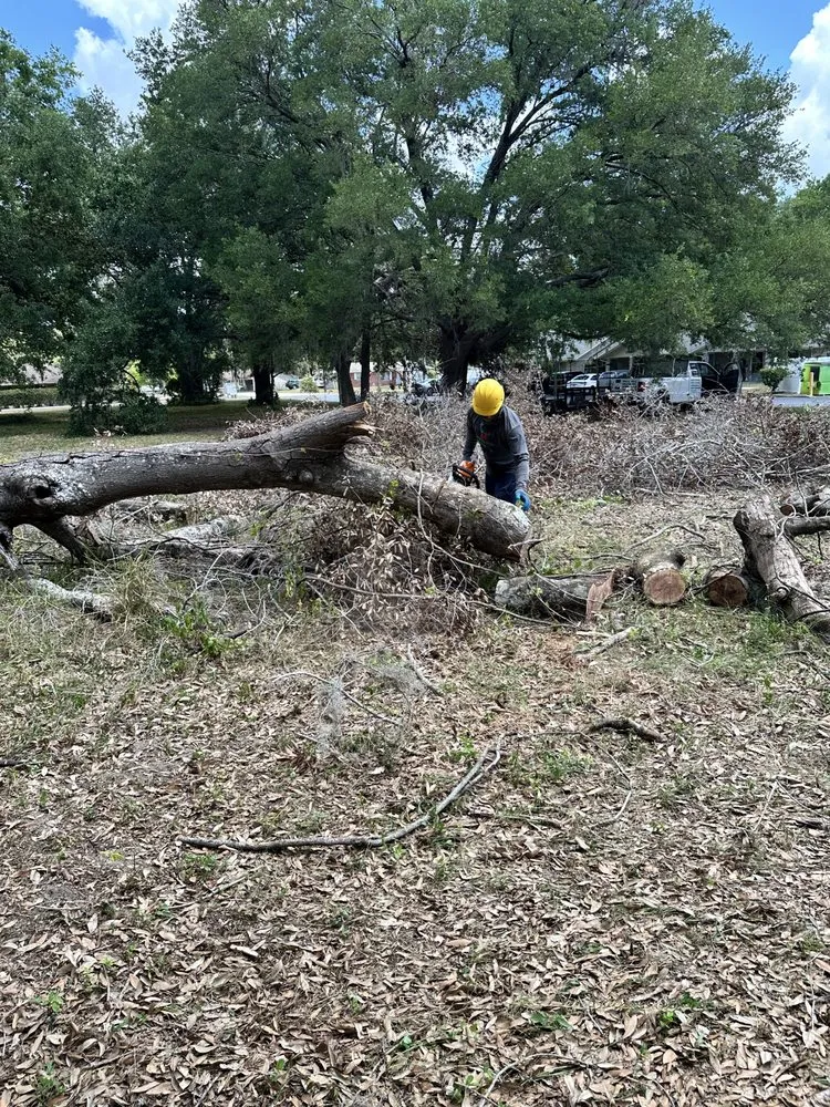 Expert residential landscaping for homes in Groveland, FL by Multiservices J&H