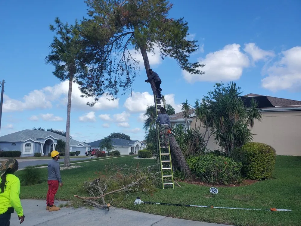 Affordable landscape design for beautiful yards across Groveland, FL - Multiservices J&H