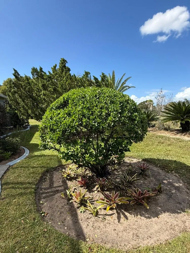 Affordable garden landscaping in Groveland, FL by Multiservices J&H