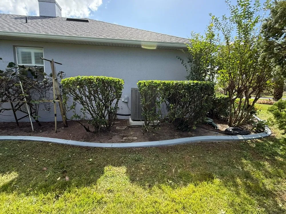 Affordable yard cleanup service in Groveland, FL - Multiservices J&H
