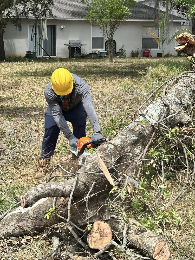 Custom residential landscaping in Groveland, FL - Multiservices J&H