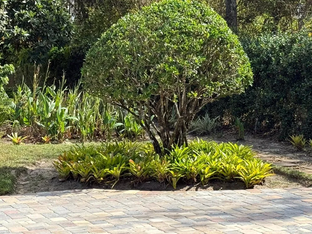 Top-rated outdoor landscaping experts serving Groveland, FL - Multiservices J&H