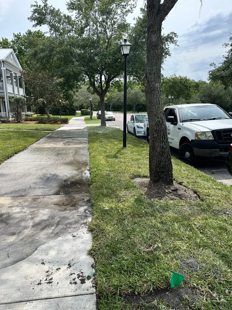 Trusted landscape design experts serving Groveland, FL - Multiservices J&H