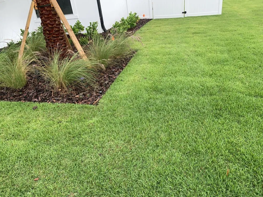 Local landscape design in Orlando, FL by MultiServices& Landscaping 4 U
