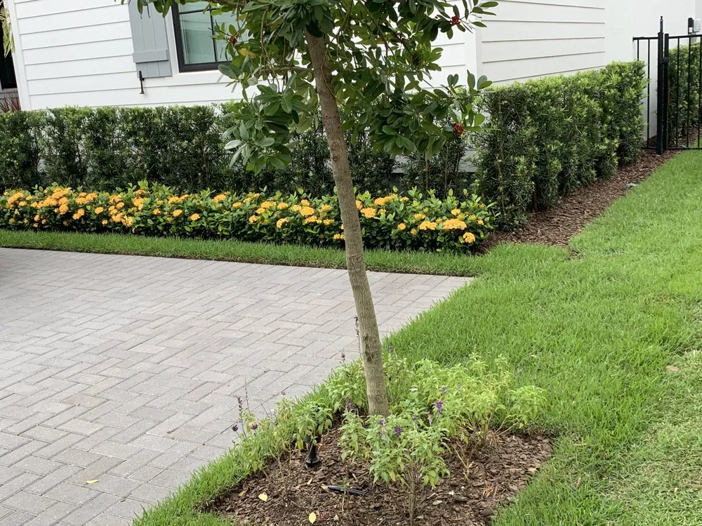 Affordable lawn care service in Orlando, FL - MultiServices& Landscaping 4 U