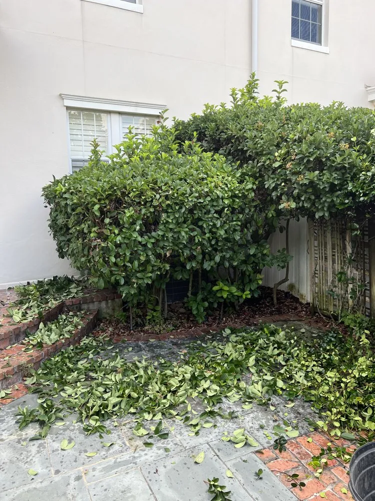 Affordable landscape design in Orlando, FL - MultiServices& Landscaping 4 U