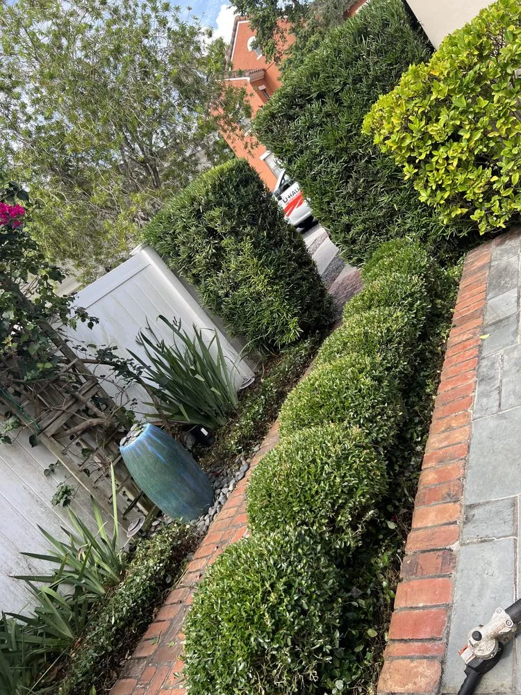 Reliable lawn mowing service for beautiful yards in Orlando, FL by MultiServices& Landscaping 4 U