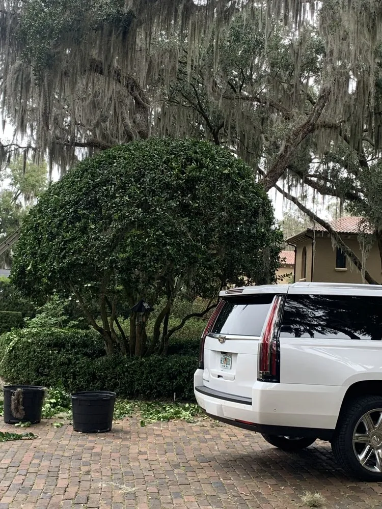 Custom lawn care service for outdoor upgrades across Orlando, FL - MultiServices& Landscaping 4 U