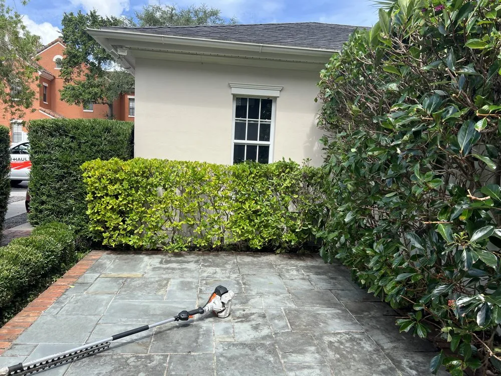 Top-rated yard cleanup service experts serving Orlando, FL - MultiServices& Landscaping 4 U