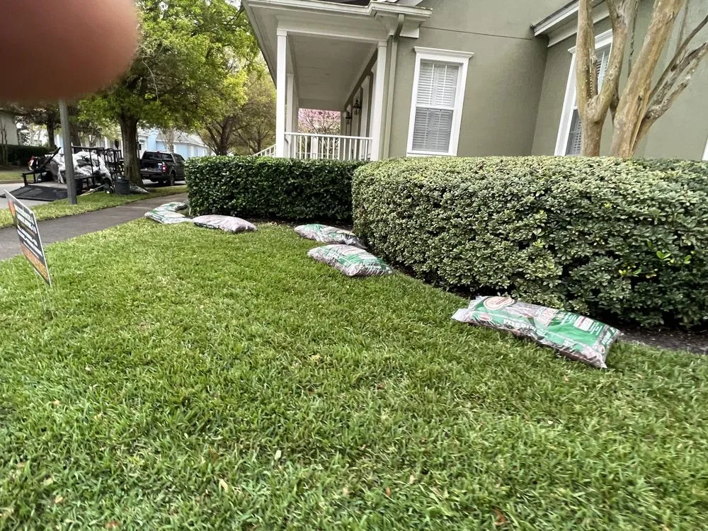 Expert yard maintenance near you across Orlando, FL - MultiServices& Landscaping 4 U