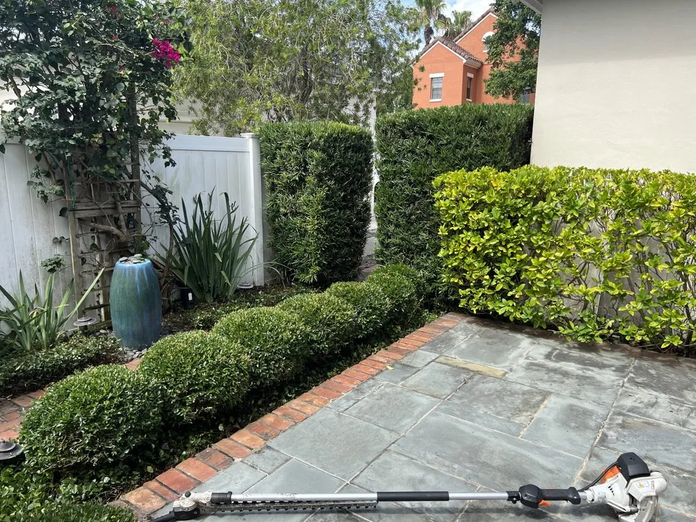 Top-rated lawn care service in Orlando, FL - MultiServices& Landscaping 4 U