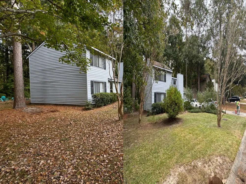 Professional yard cleanup service for beautiful yards in Goose Creek, SC by Multiverse Solutions