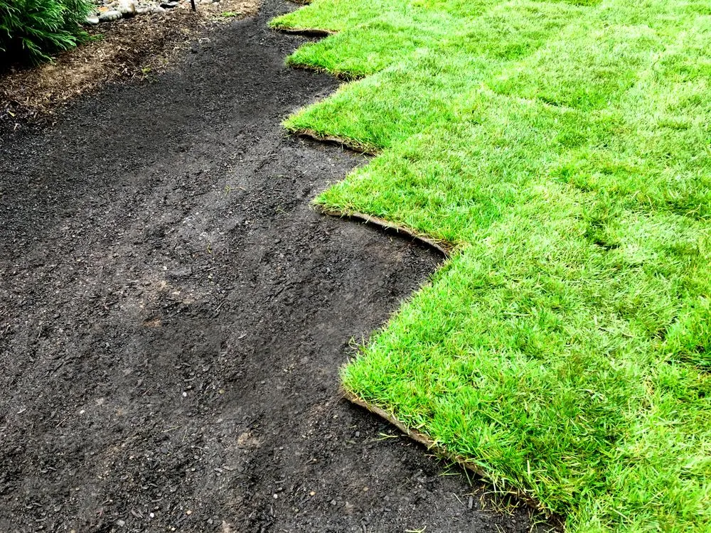 Local yard maintenance in Portland, OR by Multnomah Landscape