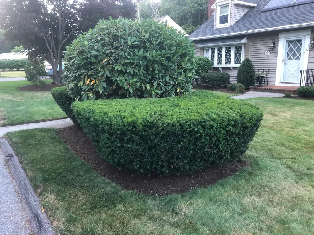 Expert yard cleanup service for homes in Leominster, MA by Mumaz Landscaping