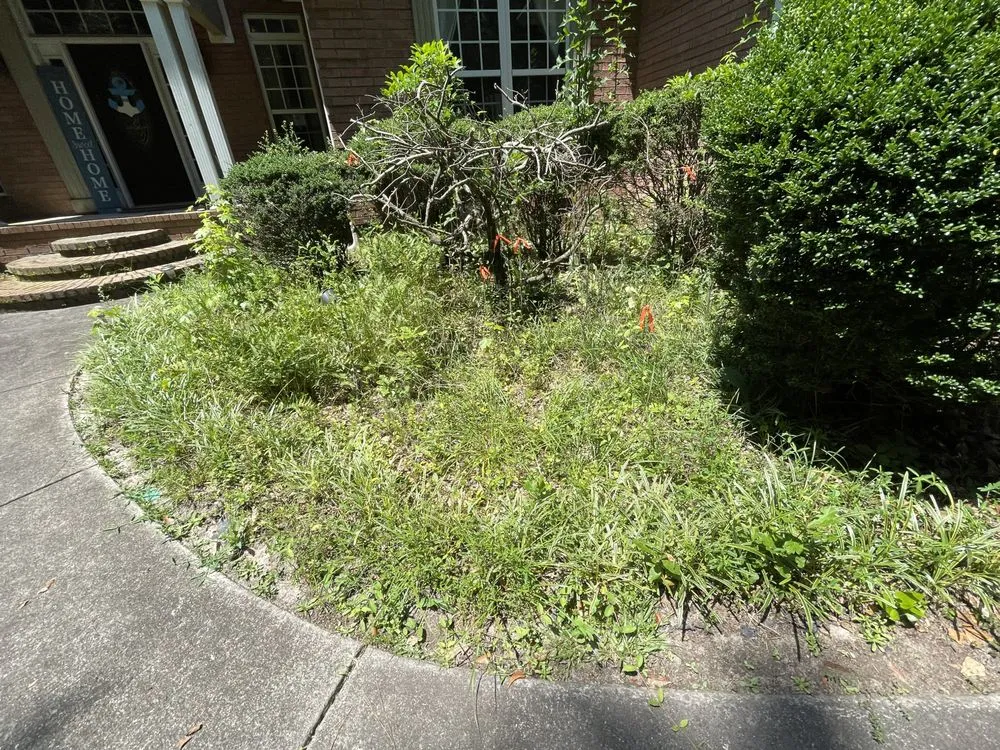 Custom residential landscaping experts serving Windsor, SC - Mumz Helping Handz