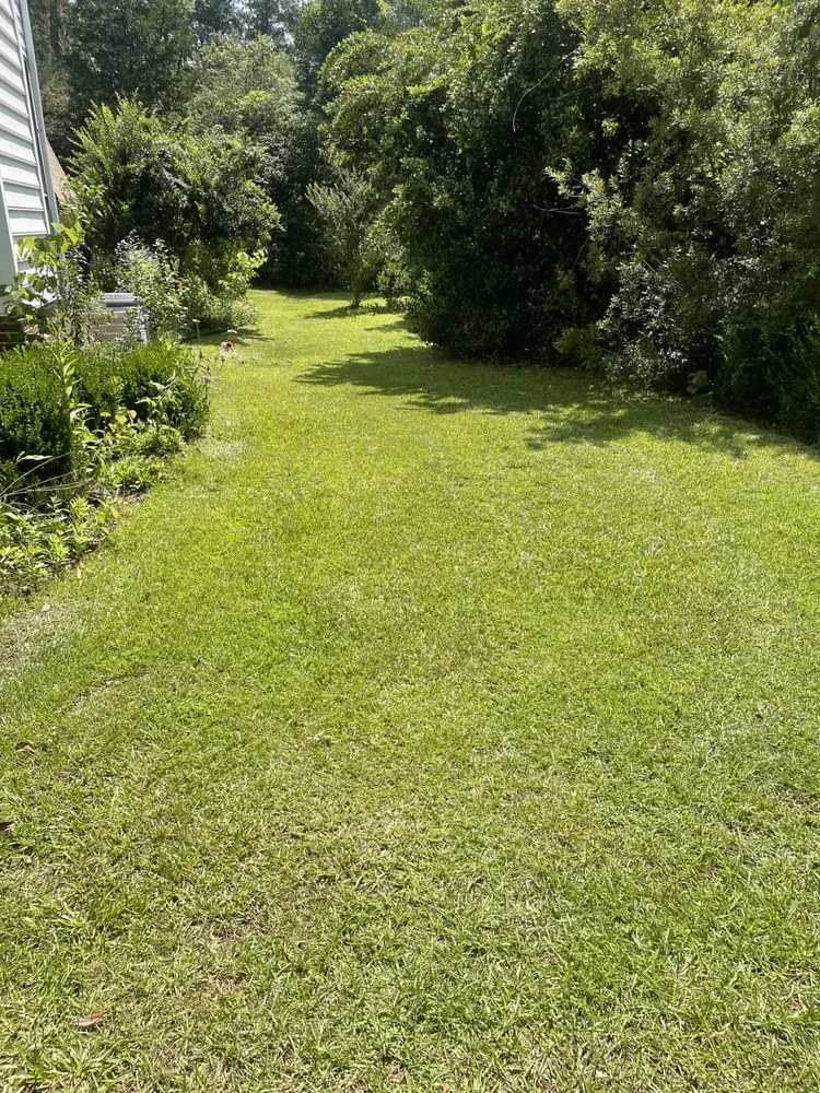 Expert outdoor landscaping for homes across Windsor, SC - Mumz Helping Handz