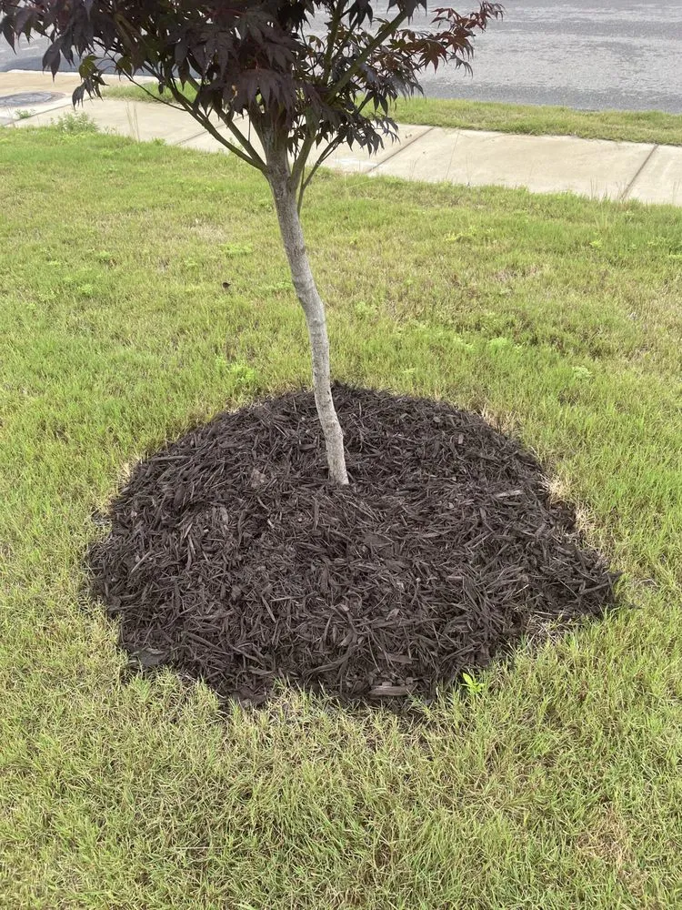 Affordable outdoor landscaping for beautiful yards in Windsor, SC by Mumz Helping Handz