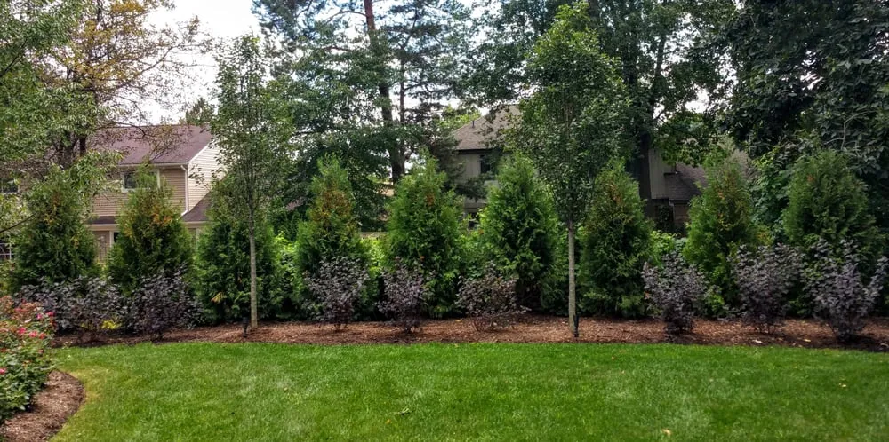 Local outdoor landscaping for homes across Utica, MI - Munaco Landscape