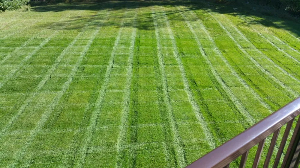 Expert yard maintenance experts serving Utica, MI - Munaco Landscape