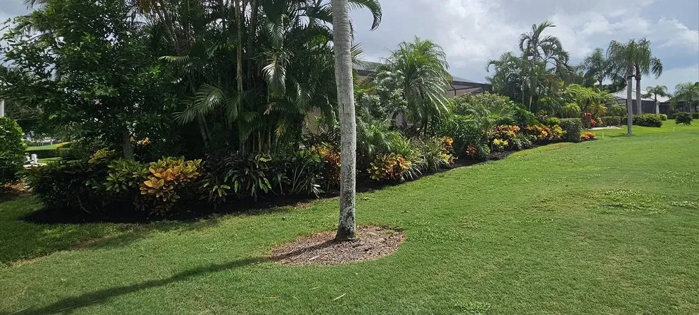 Affordable lawn mowing service in Cape Coral, FL - Munching Monster Lawn Services