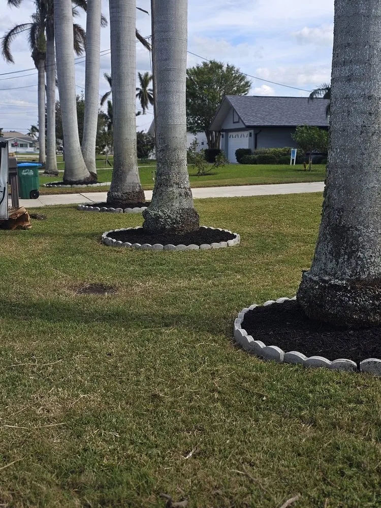 Top-rated residential landscaping experts serving Cape Coral, FL - Munching Monster Lawn Services