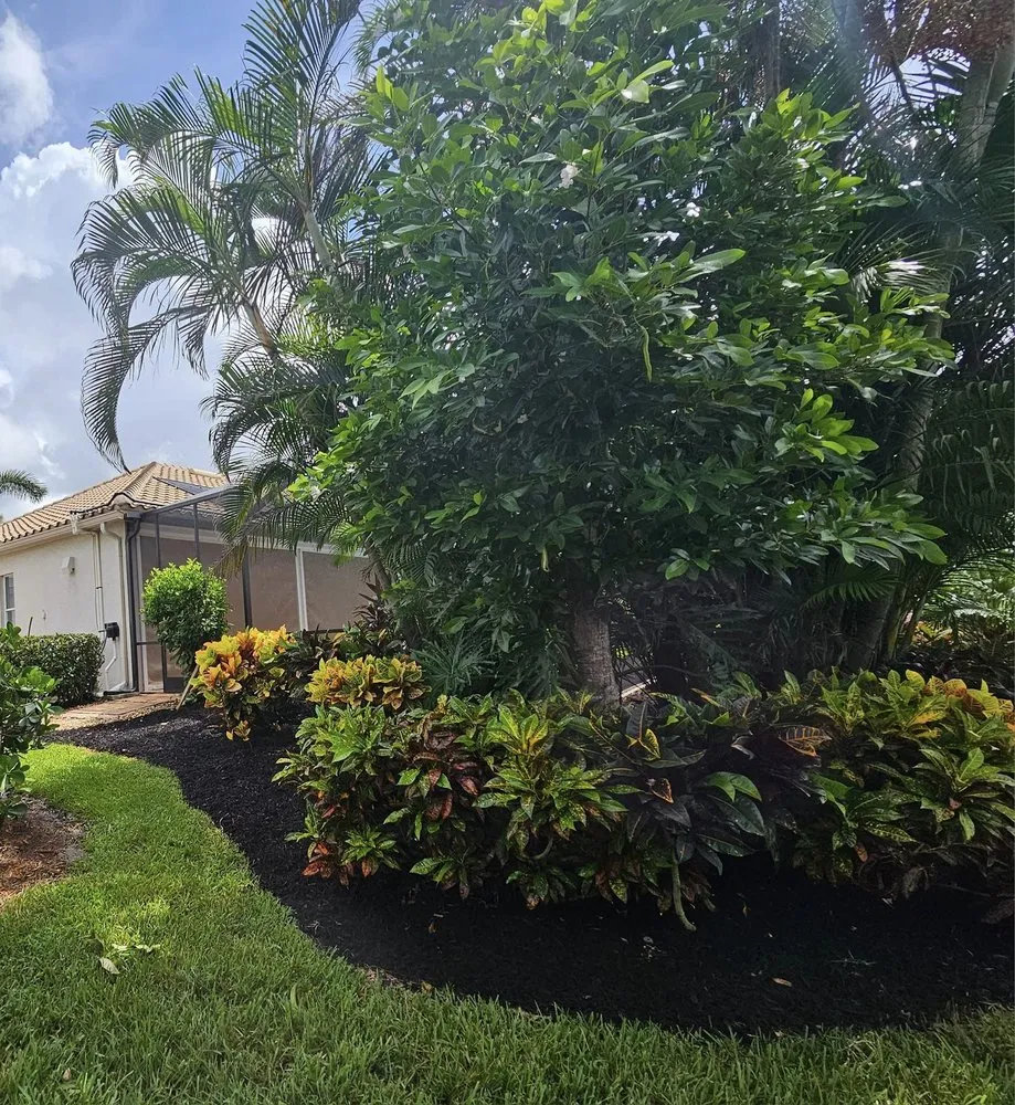 Expert landscaping services near you in Cape Coral, FL by Munching Monster Lawn Services