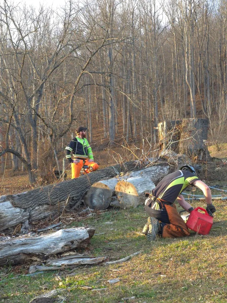 Affordable lawn mowing service with custom design across Bluefield, VA - Muncy Tree and Landscape Services