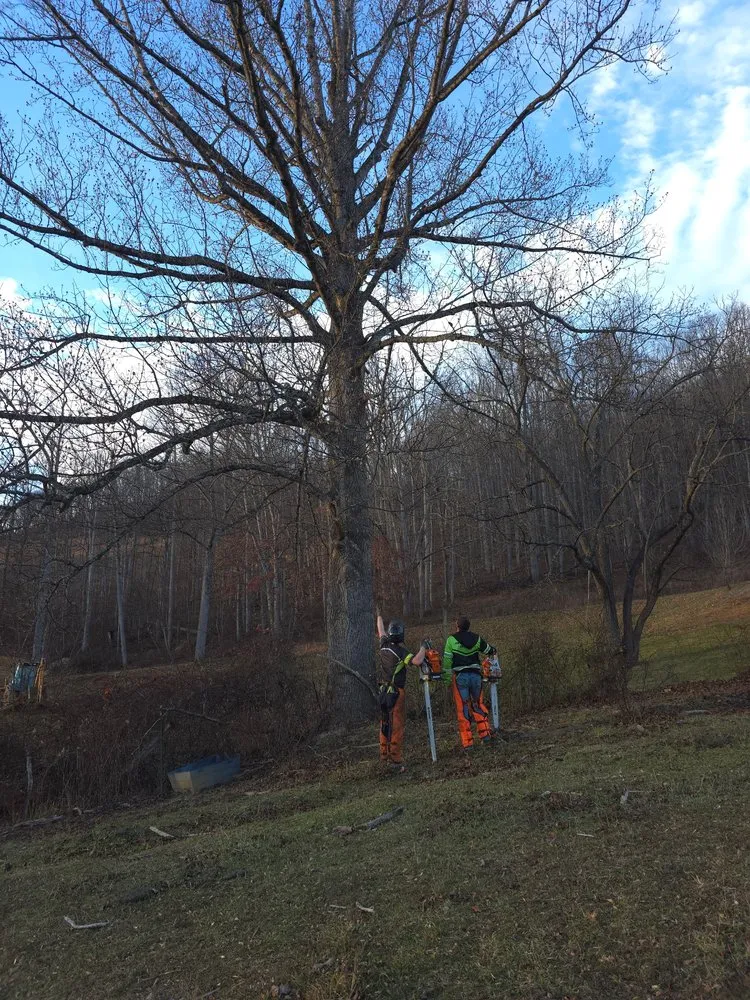 Reliable lawn mowing service for homes in Bluefield, VA by Muncy Tree and Landscape Services