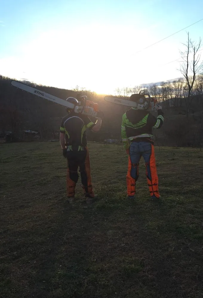 Expert garden landscaping experts serving Bluefield, VA - Muncy Tree and Landscape Services