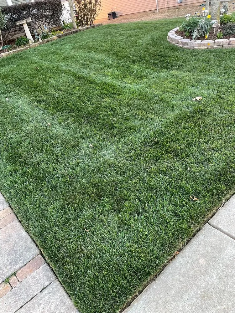 Top-rated landscape installation for residential properties across Mint Hill, NC - Mundo Green Landscaping