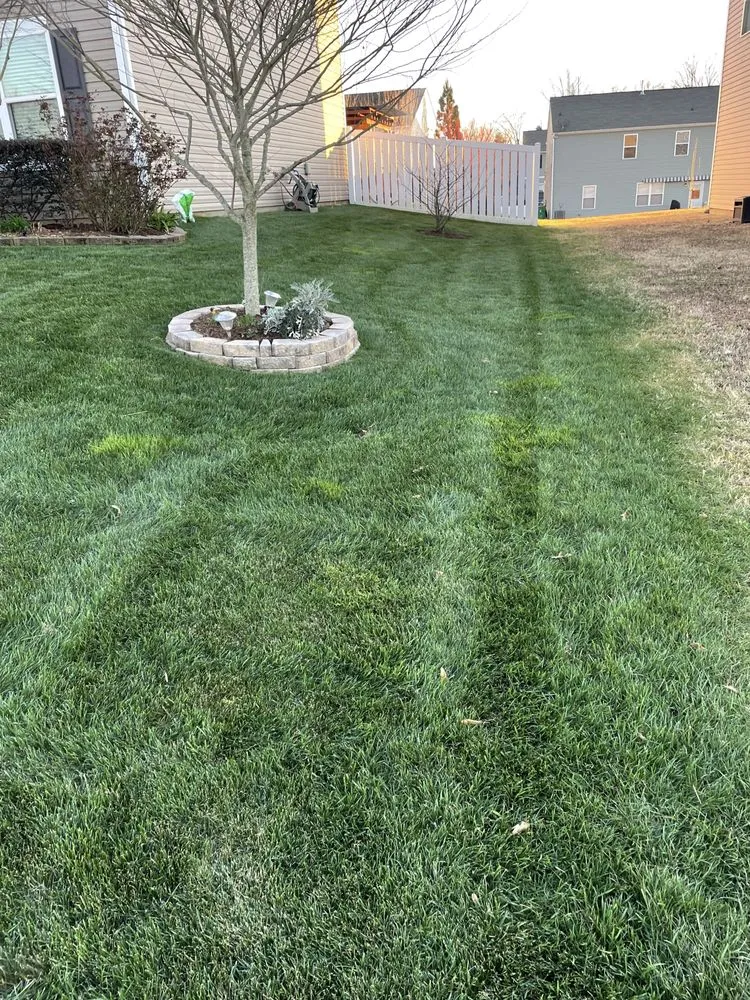 Reliable lawn mowing service experts serving Mint Hill, NC - Mundo Green Landscaping