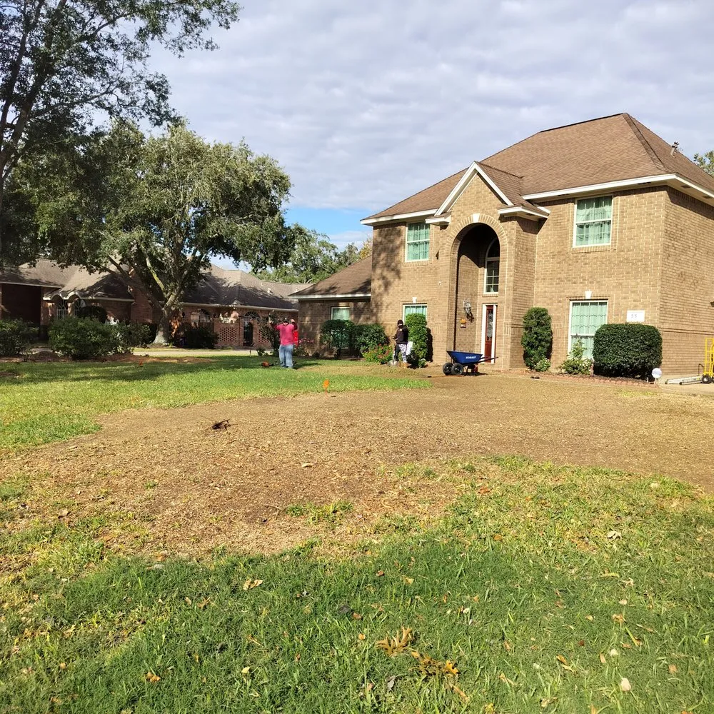 Professional outdoor landscaping in Lake Jackson, TX by Mundo Lawn Landscaping & Tree Service