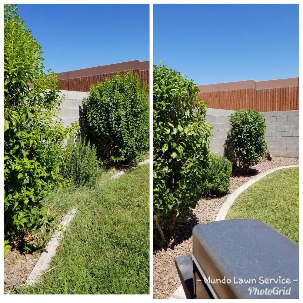 Expert lawn care service for homes in North Las Vegas, NV by Mundo Lawn Service