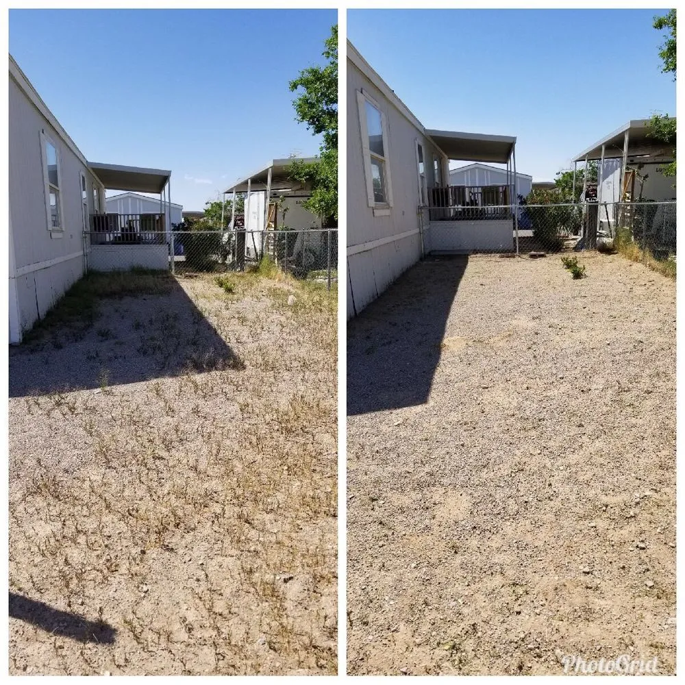 Trusted yard maintenance experts serving North Las Vegas, NV - Mundo Lawn Service