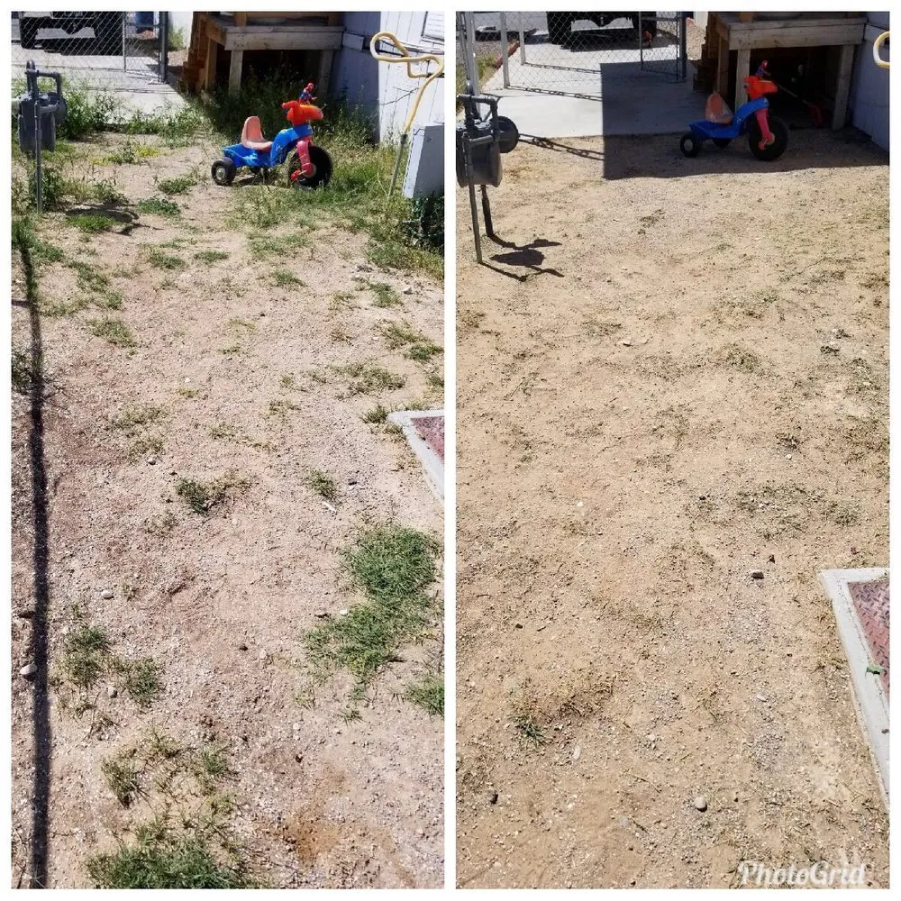 Top-rated landscape installation experts serving North Las Vegas, NV - Mundo Lawn Service