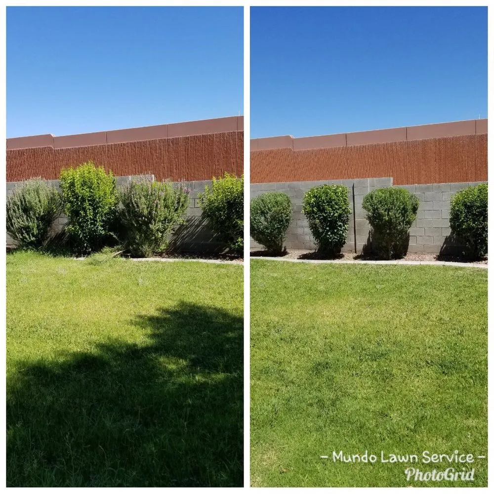 Top-rated outdoor landscaping for homes in North Las Vegas, NV by Mundo Lawn Service