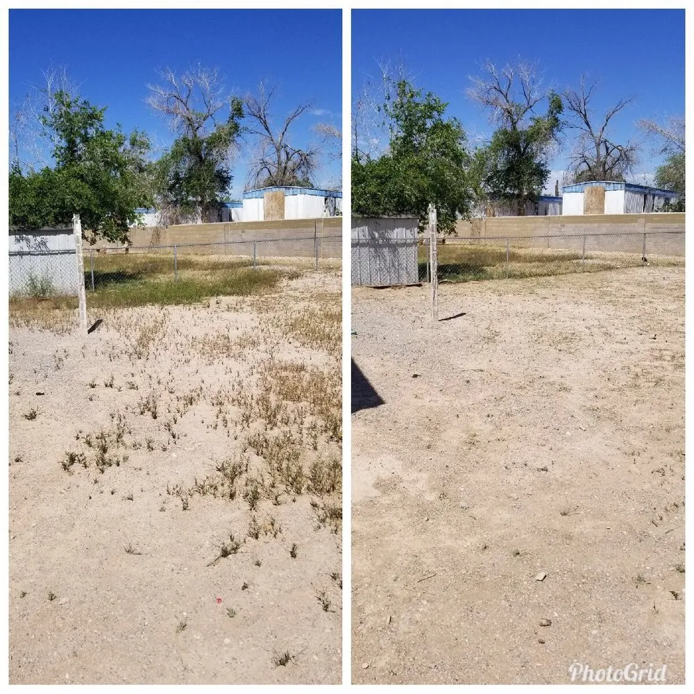 Reliable landscaping services in North Las Vegas, NV - Mundo Lawn Service