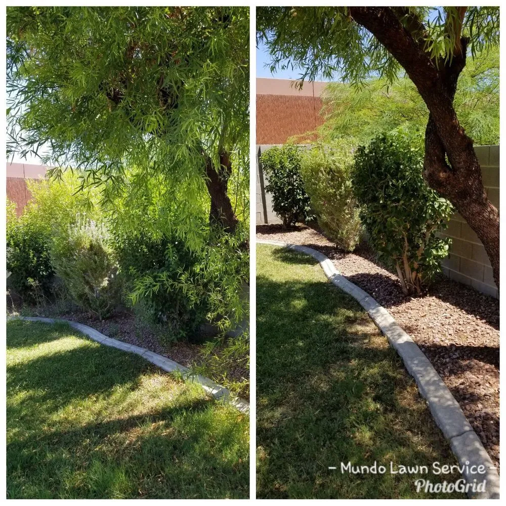 Custom yard maintenance in North Las Vegas, NV by Mundo Lawn Service