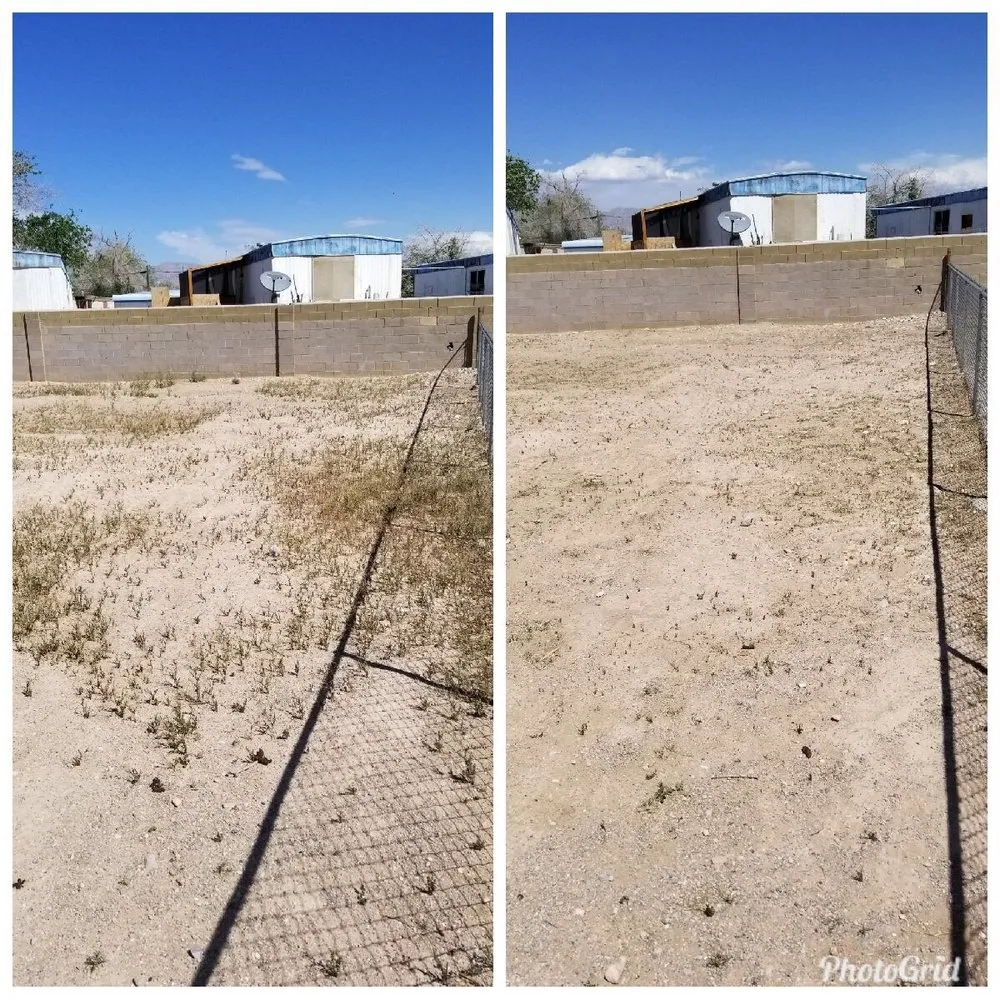 Local residential landscaping in North Las Vegas, NV - Mundo Lawn Service